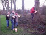 putting up the boxes